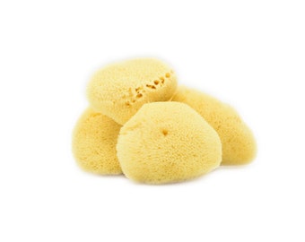 Natural Sea Sponge | Premium Silk | 2-3”