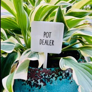 Pot Dealer plant marker