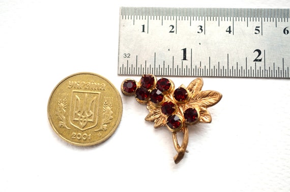 Soviet Grape Bunch Golden Brooch, Vintage Red Cry… - image 4