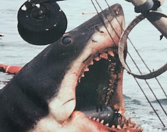 Jaws 1975 Movie Photograph Studio Original Roy Scheider Shark