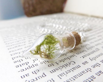 Glass terrarium necklace - botanical jewellery - real moss necklace handmade in the UK by The Autumn Orchard