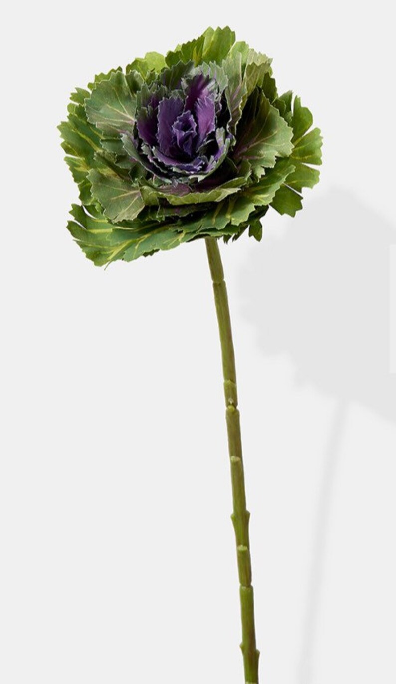 Fake Mini Ornamental Cabbage Fake Cabbage Fake Food Floral Etsy
