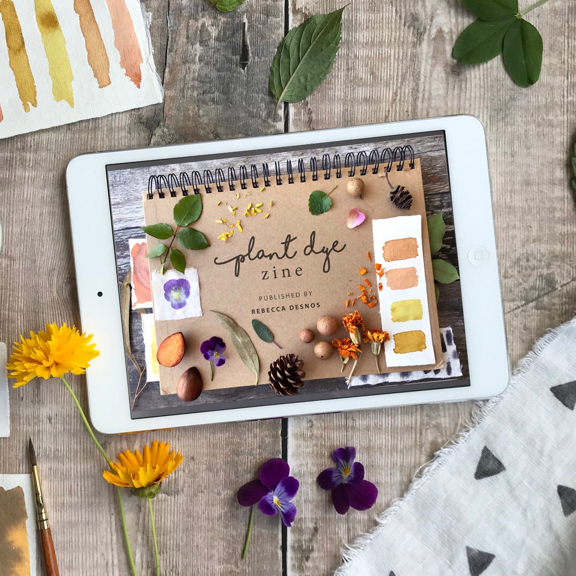 Plant Dye Zine - botanical dyeing eBook published by Rebecca Desnos