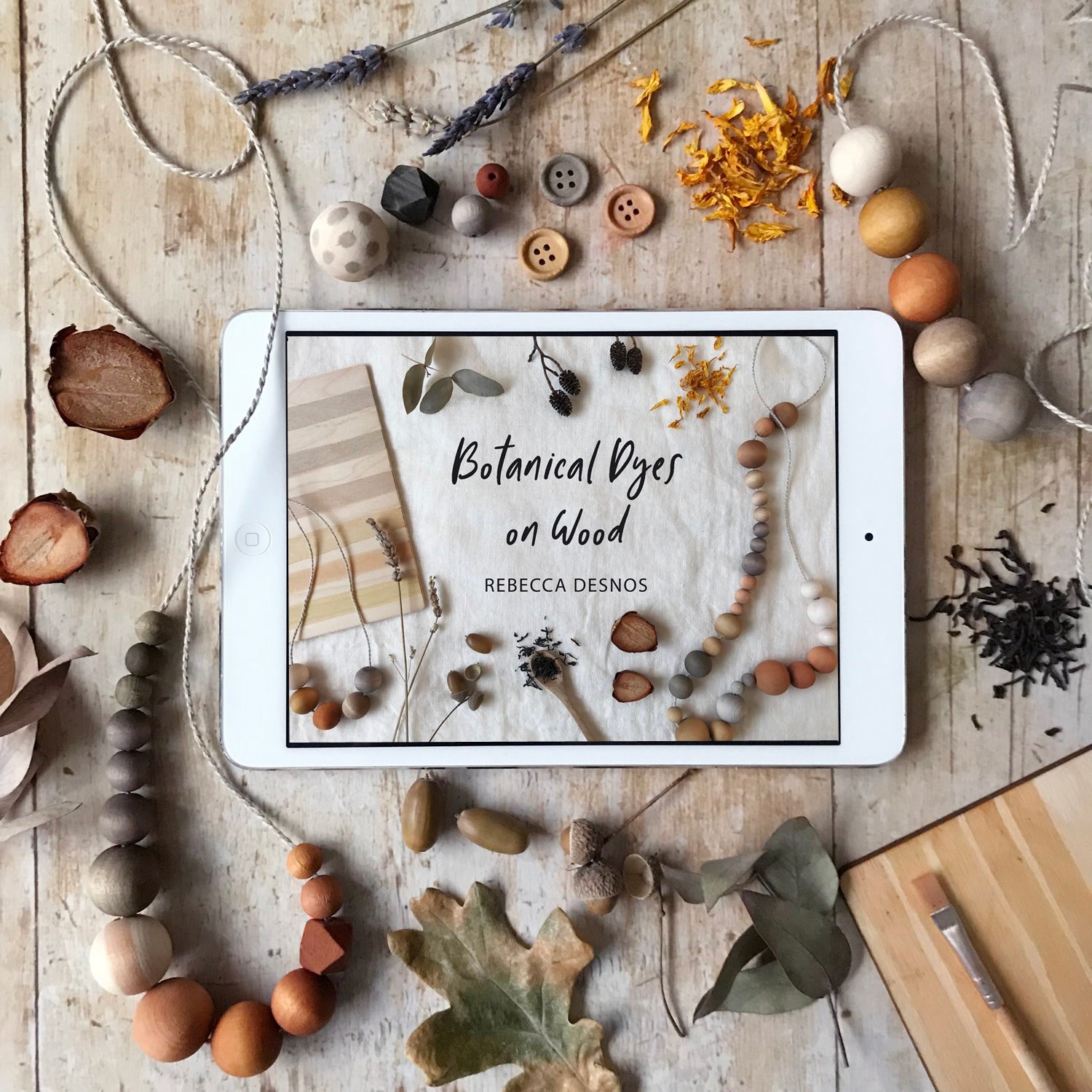 eBook - 'Botanical Dyes on Wood' - Plant Dyeing/Natural Dyeing