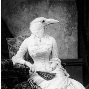 White Raven Gothic Home Decor Victorian Black and White Photography Dark Romance Print Crow Art