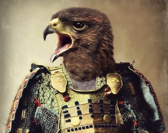 Hawk Art Print Bird Art Animals In Clothes Anthropomorphic Samurai Art Bird Photography (3 sizes) "Bushido - The Way Of The Warrior"