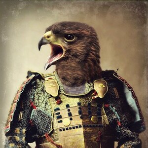 Hawk Art Print Bird Art Animals In Clothes Anthropomorphic Samurai Art Bird Photography (3 sizes) &quot;Bushido - The Way Of The Warrior&quot;