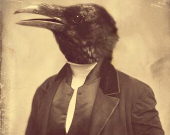 Unique Crow, Raven, Gothic, Goth, Rustic, Farmhouse, Bird Wall Art, Oddities, (non AI art)