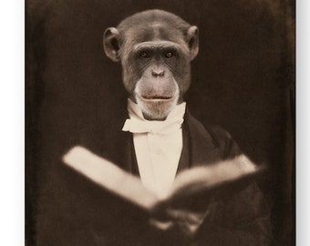 Monkey Art Print Animal Art Chimpanzee Animals In Clothes Anthropomorphic Vintage Victorian Animals Unique Gift  "The Orator"