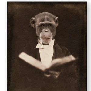 May include: A sepia-toned portrait of a chimpanzee dressed in a suit and tie, holding a book. The chimpanzee is looking directly at the viewer. The image is titled "by Muriel McDonald".