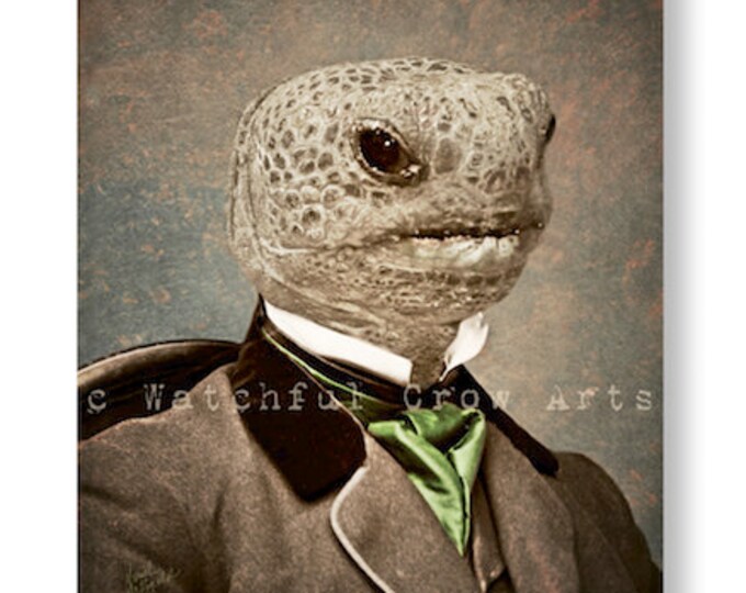 Types of Tortoises Poster, Tortoises Print, Tortoises Art, Tortoises