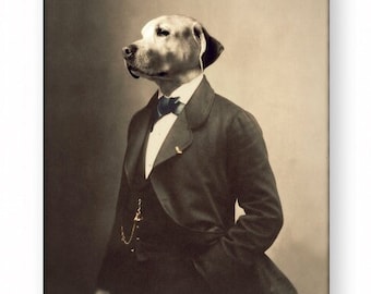 Könnte beinhalten: Ein sepiafarbenes Porträt eines Hundes, der einen Anzug und eine Fliege trägt. Der Hund schaut nach links aus dem Bild. Das Bild ist mit "by Muriel McDonald" betitelt.