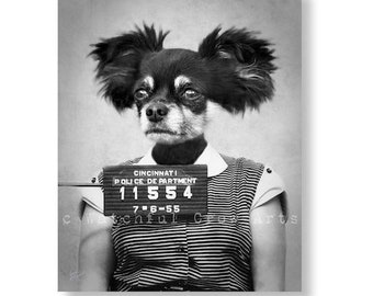 Unique Dog Art Print, Funny Gift, Mugshot, Humorous Novelty Item, Quirky Animal Art, Black and White, "The Bachelorette Party" (non AI art)