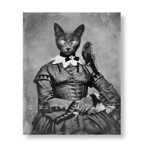 Gothic Art Home Decor Black Cat Art Print Crow Art Black and White Photograph Print Creepy Oddities and Curiosities Cats in Clothes