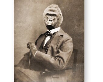 Vintage Gorilla Art Print: Harambe, Animal Rights