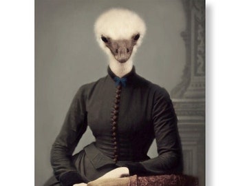 Unique Ostrich Art Print Animals As People Victorian Animal Wall Art Vintage Print (non AI art)