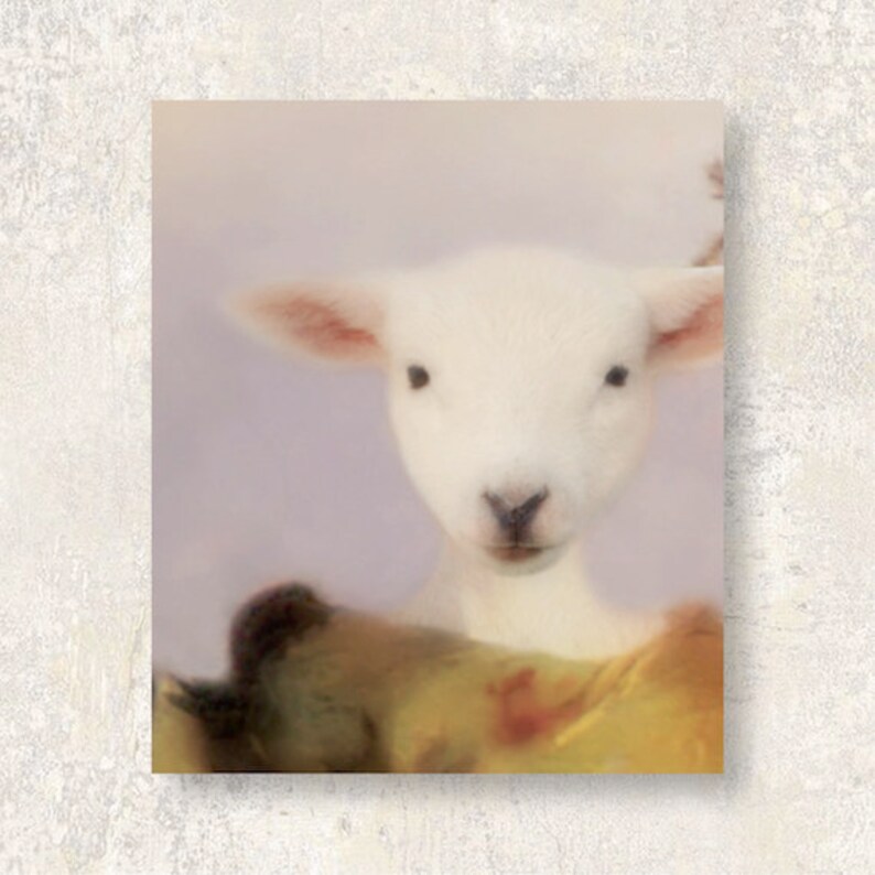 Farm Animal Art Print Farmhouse Wall Decor Nursery Decor Wall Etsy