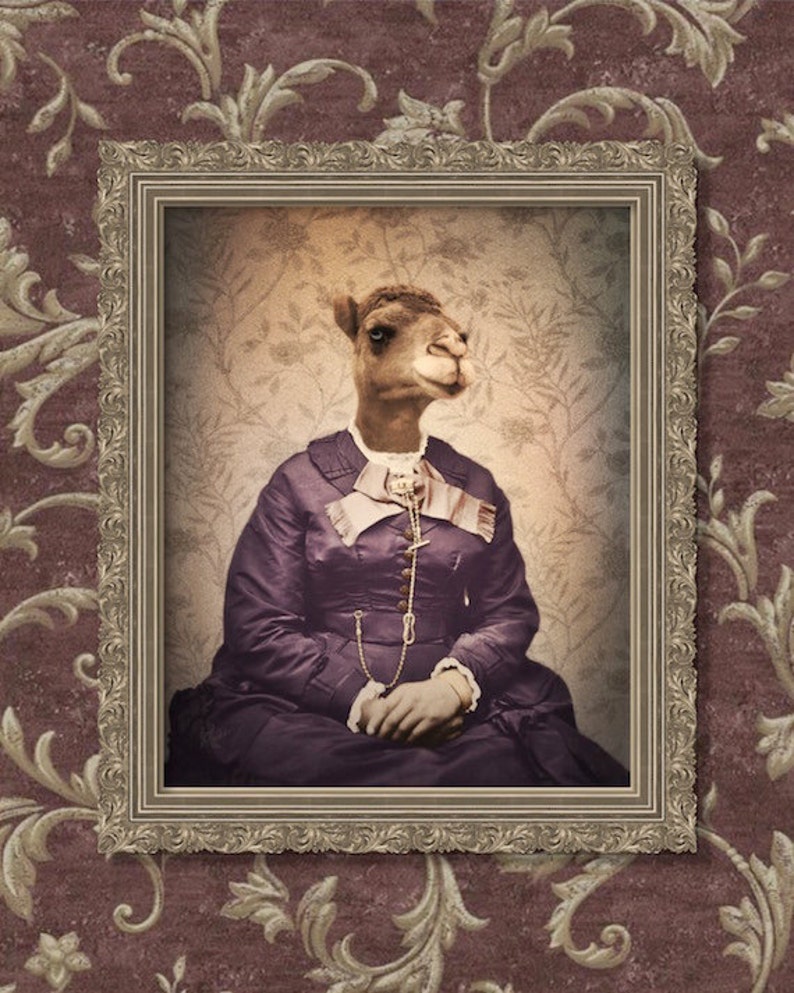 Camel Art Print Animal Art Anthropomorphic Victorian Animals Etsy