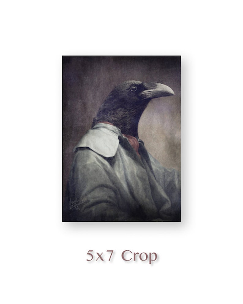 Puede incluir: Un cuervo negro con un abrigo gris con cuello blanco y una bufanda roja. El cuervo mira hacia la derecha. El fondo es gris oscuro.