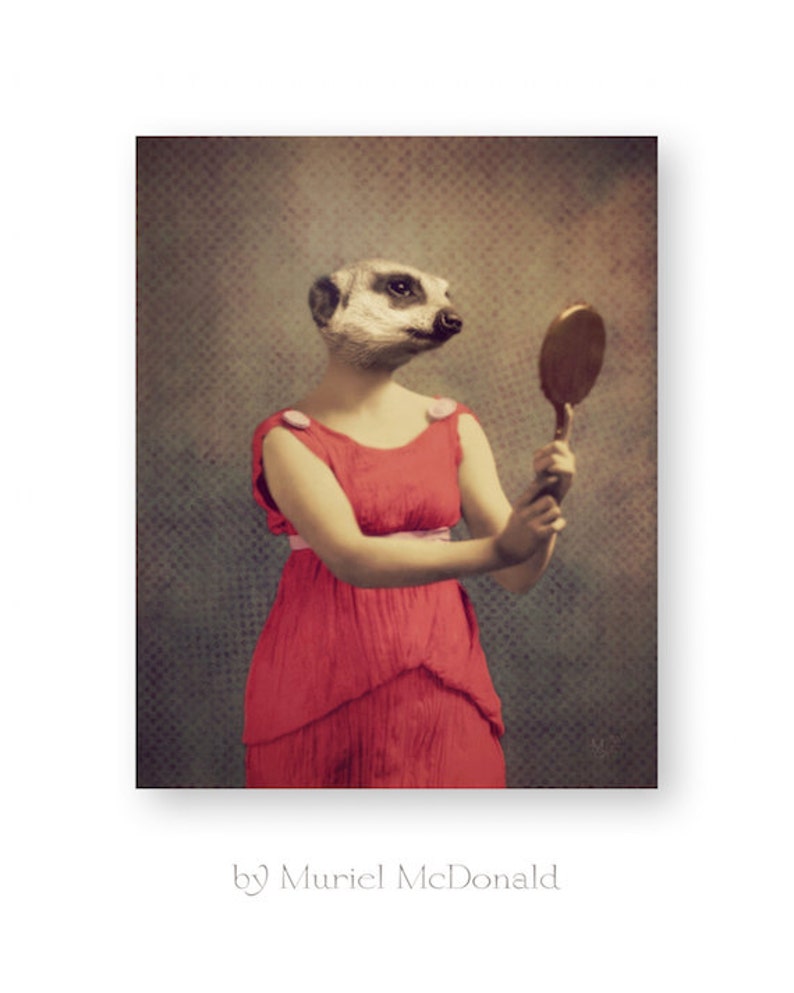 Ne pas voir Singe Dictionnaire Art Set Animaux Vêtements Imprimer anthropomorphe