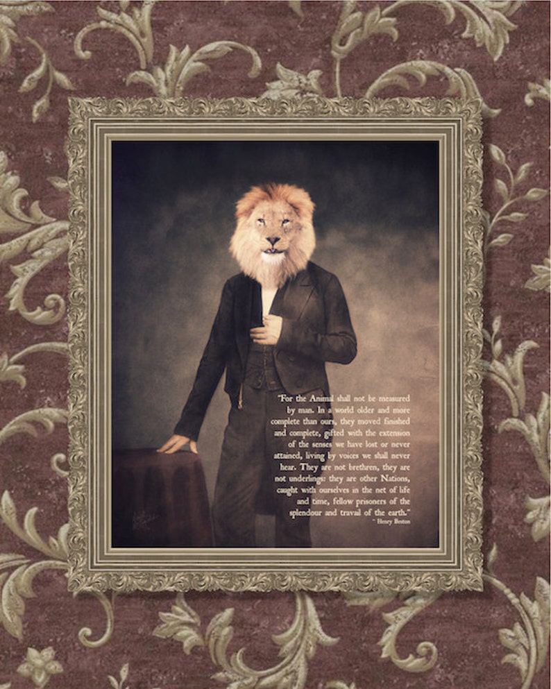 May include: A framed portrait of a lion in a suit. The lion is looking directly at the viewer. The quote "For the Animal shall not be measured by man. In a world older and more complete than ours, they moved finished and complete, gifted with the extension of the senses we have lost or never attained, living by voices we shall never hear. They are not brethren, they are not underlings: they are other Nations, caught with ourselves in the net of life and time, fellow prisoners of the splendour and travail of the earth." - Henry Beston is printed below the image.