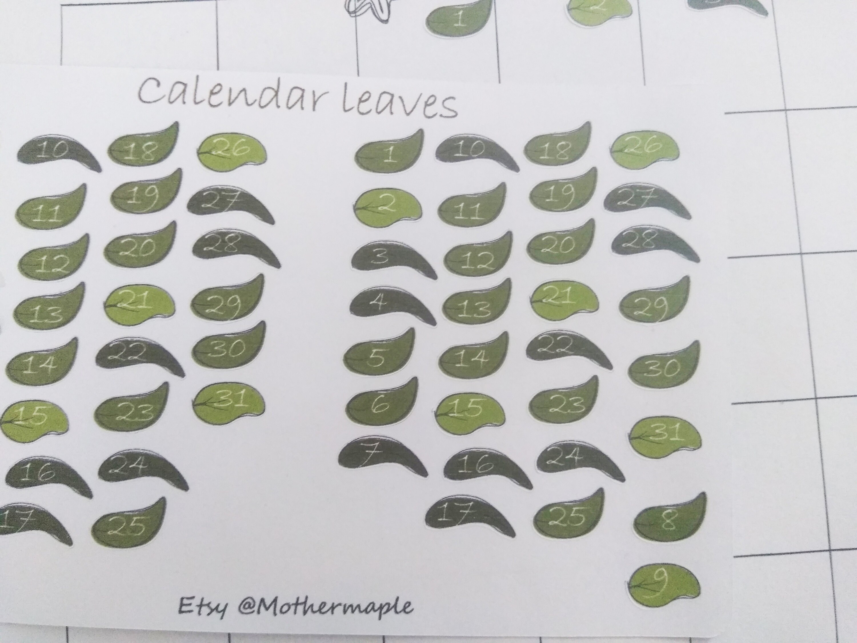 Leaf calendar numbers number chart counting planner diary Etsy