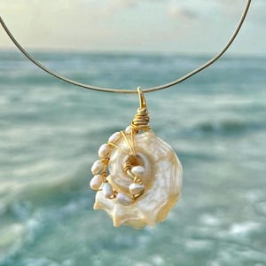 Seashell Necklace, summer shell necklace, natural seashell choker