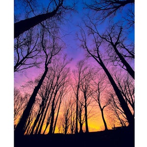 Huntington Reservation (2020)