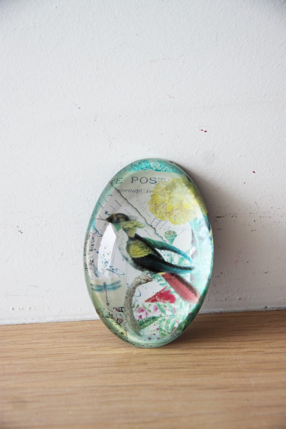 Vintage bird paperweight, glass paper weight with retro graphics and exotic bird decor, domed glass paperweigh