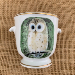 May include: A white ceramic owl-themed cup with gold trim. The cup has two handles and features a painted image of an owl perched on a branch.