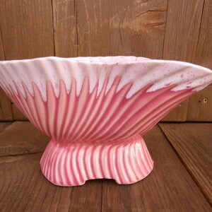 May include: A pink ceramic planter shaped like a seashell with a white rim. The planter has a textured surface and is designed to look like a clam shell.