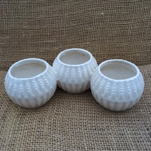 May include: Three white ceramic planters shaped like sea urchins. The planters have a textured surface and are arranged in a row.