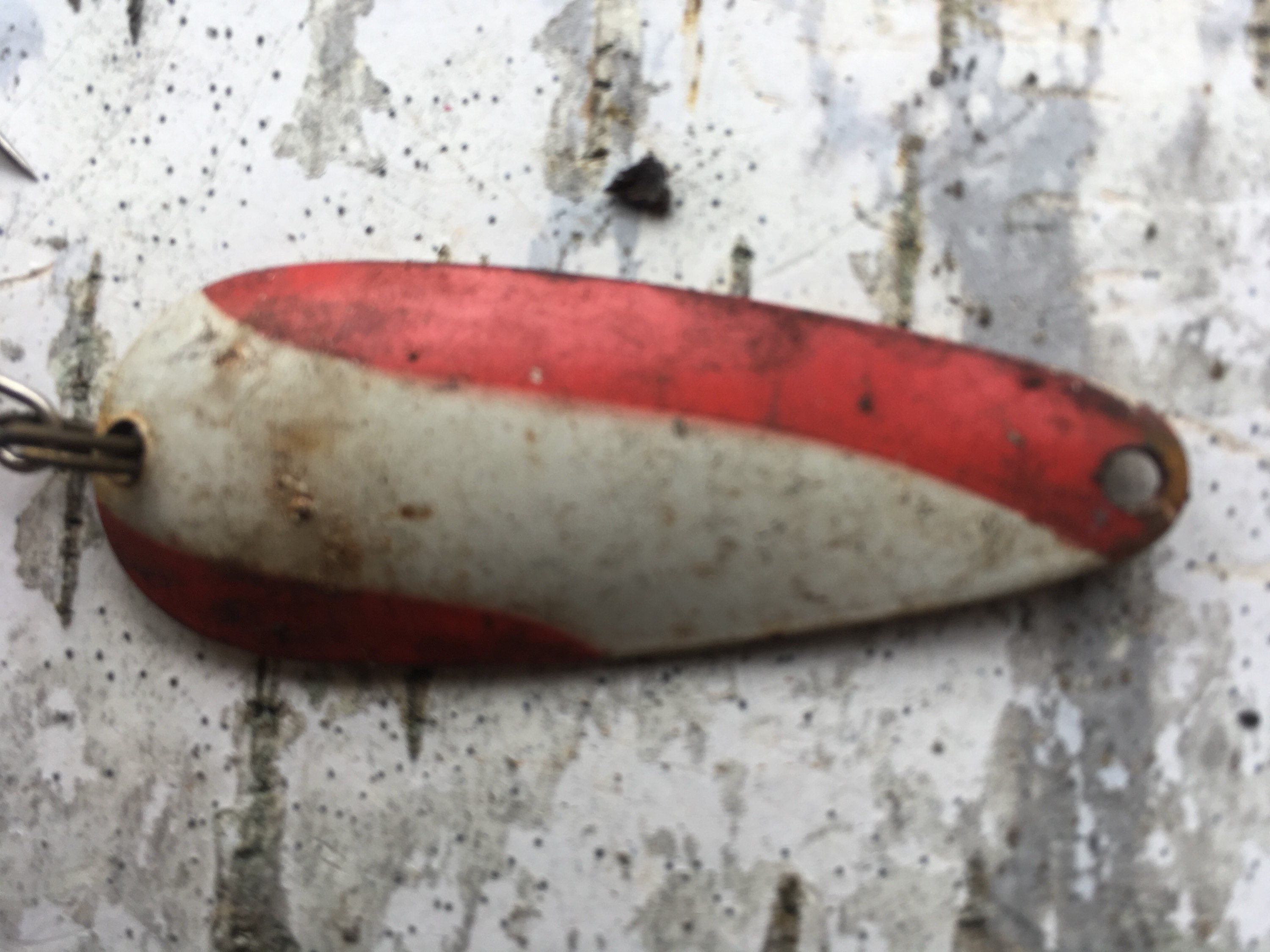 collectable fishing lures dare devle Daredevil Lure Fishing Set Spoon Lot Nebco Fish Old Antique Vintage Cabin  Metal Red White Green Flash Bait Aqua Small Pike LOT F