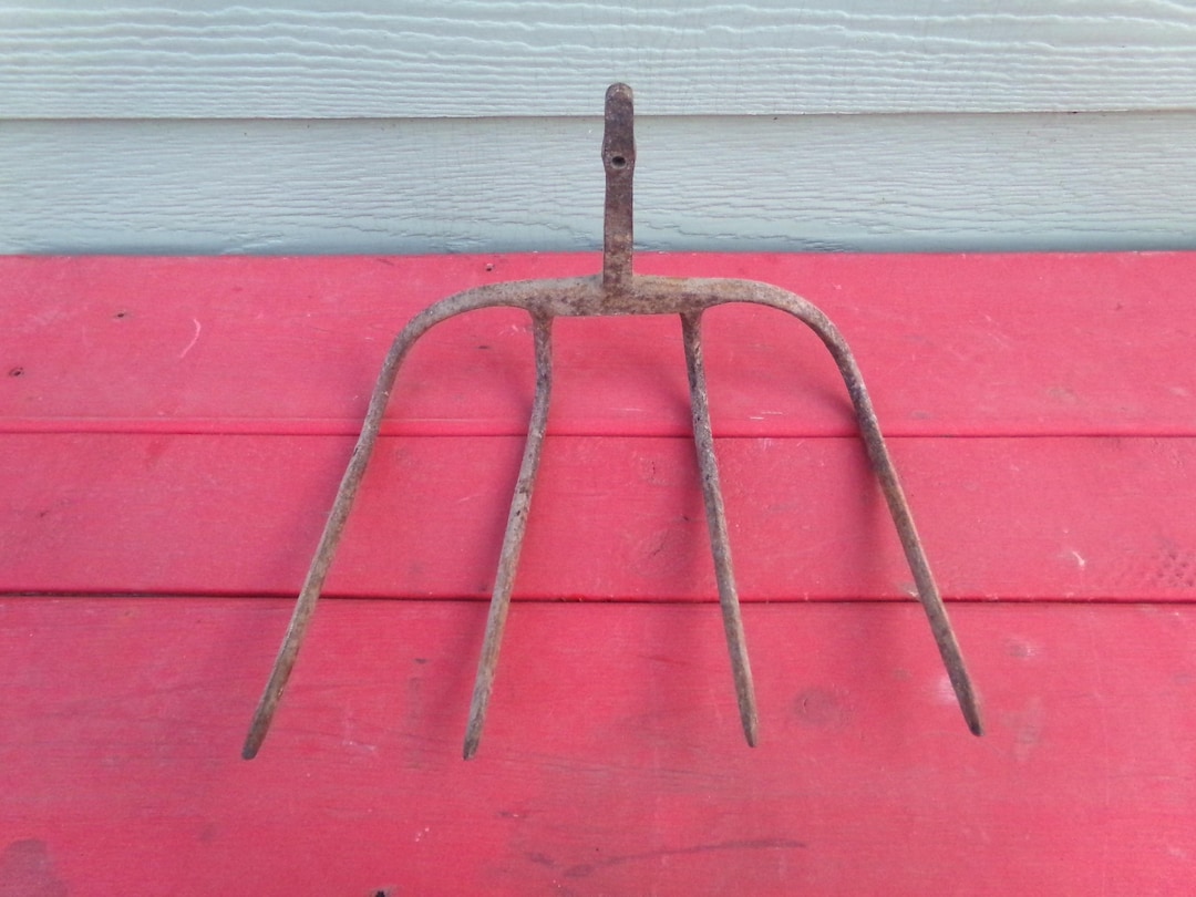 Potato Rake Head Rusty Garden Tool Vintage Four Prong Old Farm ...