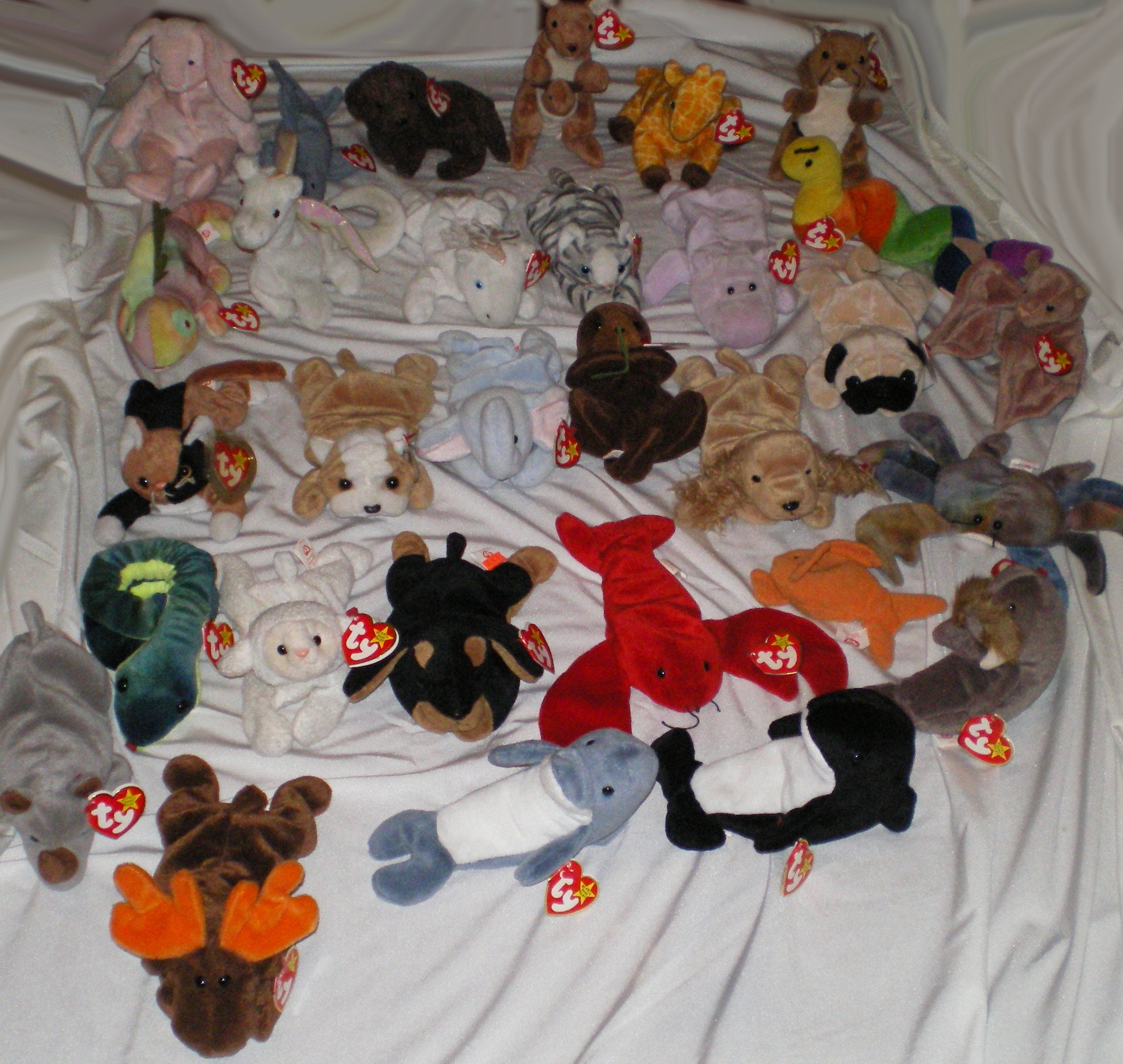 Pouch Ty Beanie Baby 1996 Rare Purchase With Other Beanies and Get