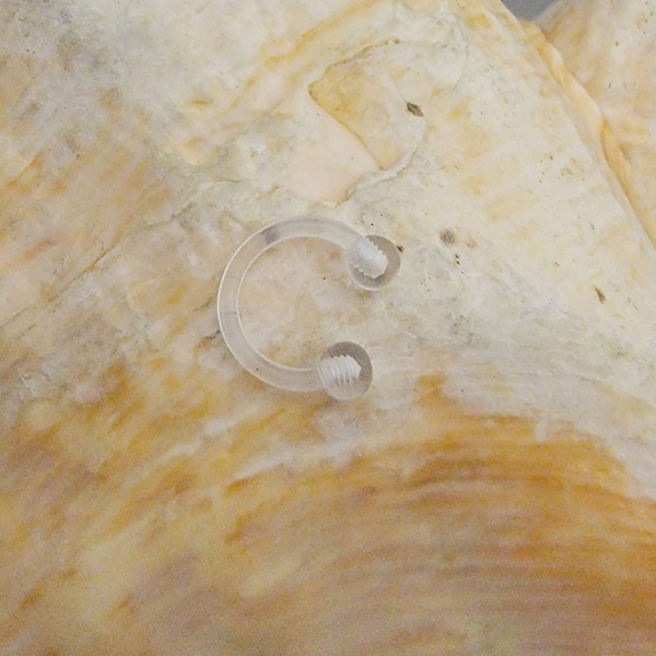 PAIR 16G horseshoe plastic retainer 8mm
