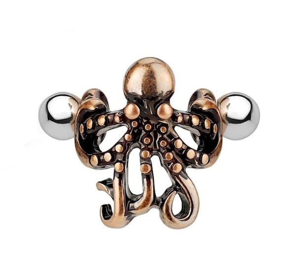 Cartílago del pulpo