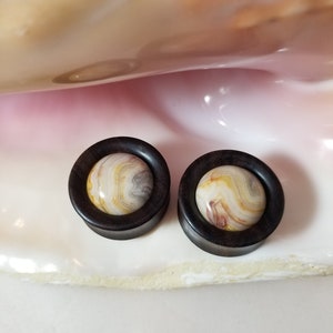 Pair Narra wood organic plugs gauge double flare stretchers with crazy lace agate stone center