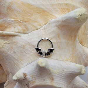16G Bat Hinged Segment Ring Abalone Shell insert Ring 5/16 8mm