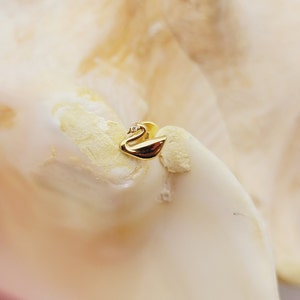 16G Swan labret with CZ gems gold plated G23 Titanium cartilage monroe internally threaded