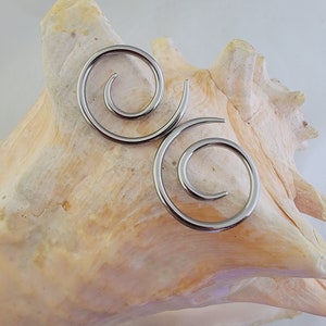 Pair Stainless Steel Spiral Tapers