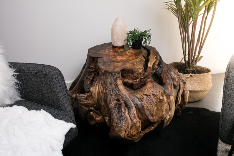 Pepper Tree Large 34 Stump/Root Ball Coffee Table Etsy