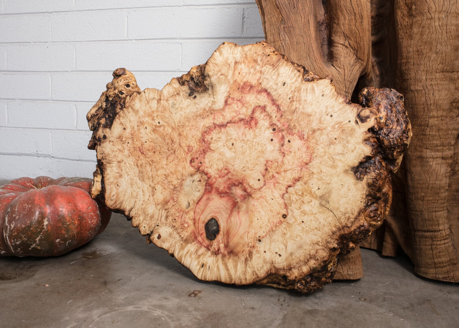Flame Box Elder Burl 27x18 Rustic Table Centerpiece or Food Safe