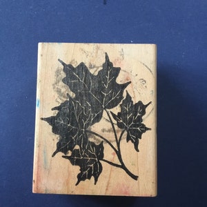 Maple Leaves by Northwoods Rubber Stamps, autumn, branch, card making, scrapbooking, mixed media,