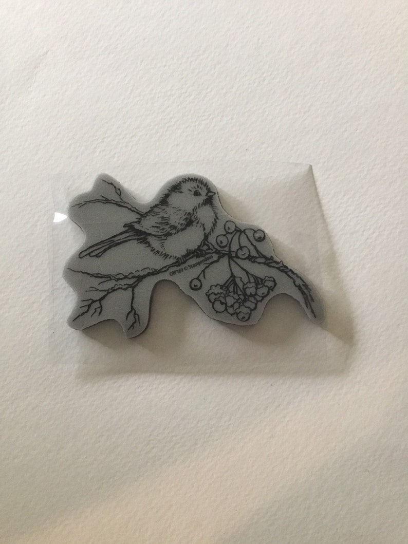 scrapbooking, christmas Snow Bird winter NEW card making Stampendous cling acrylic stamp