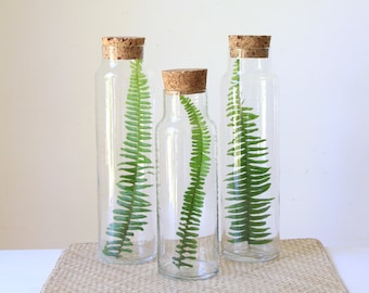 Vintage glass jars - 1 x tall cylinder jar - jar with cork lid - spaghetti pasta jars - kitchen storage container - 3 available