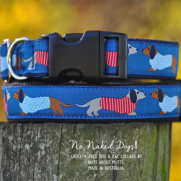 Dachshund Dog Collar Etsy