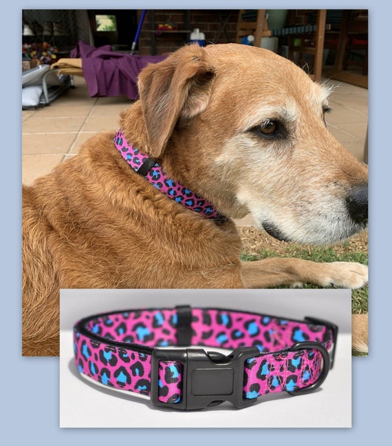 pink leopard dog collar