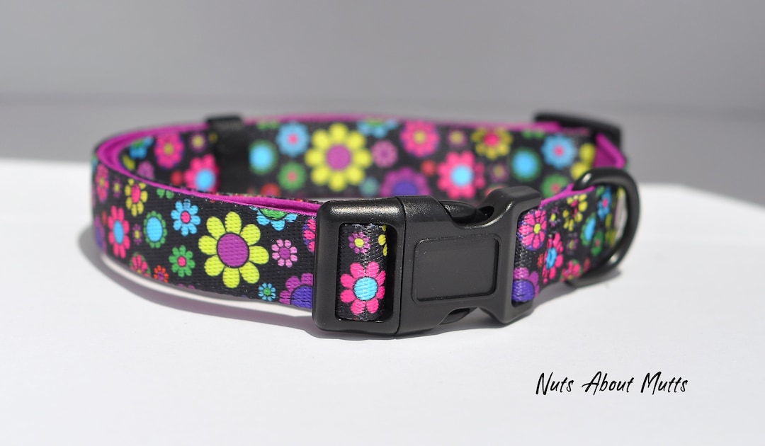 Daisy Dog Collar, Lead, Harness Choose the Items You Want Etsy Australia