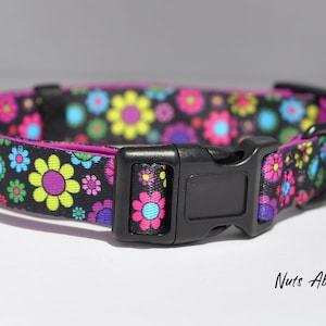 Daisy dog collar or lead, or harness or set